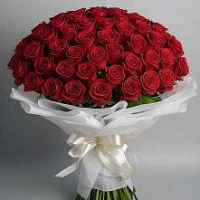 Букет 101 Красная роза Блэк Мэджик в Поддорье