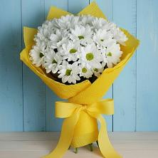 Букет цветов из:  Хризантемы в Поддорье