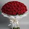 Букет 101 Красная роза Блэк Мэджик в Поддорье