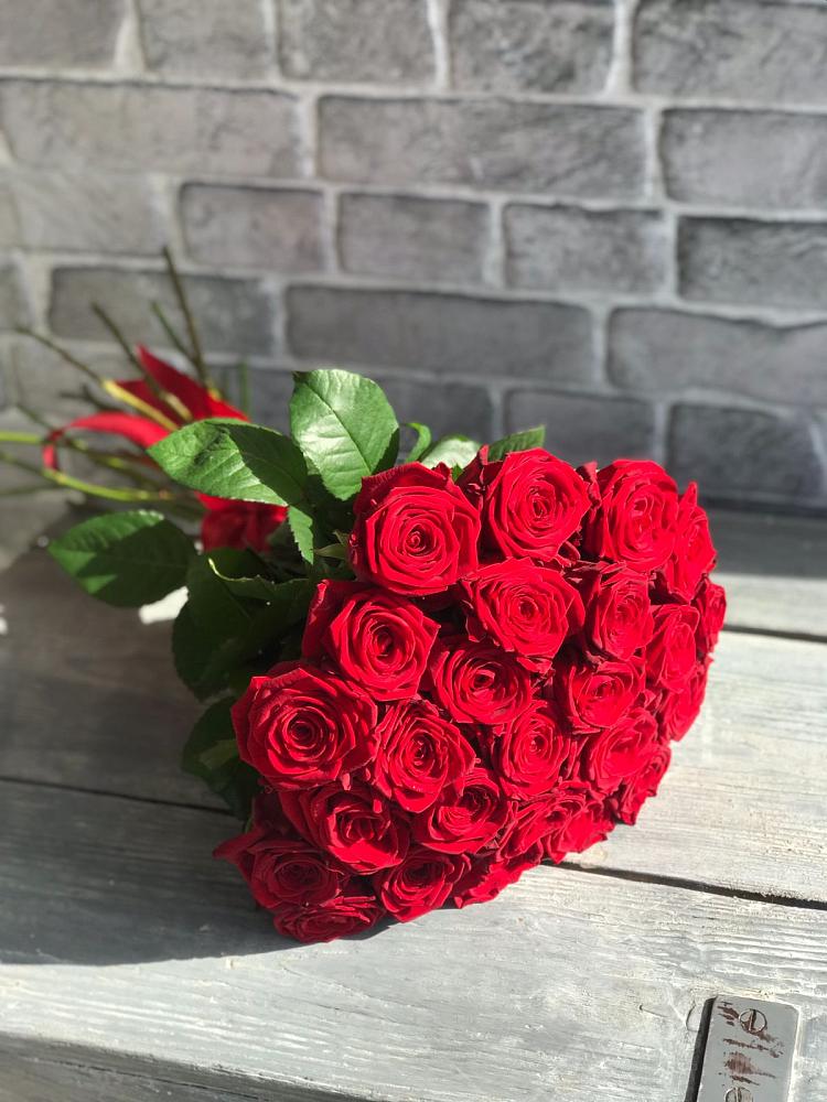 Букет Красные розы Фридом в Поддорье