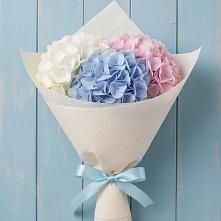 Букет цветов из:  Гортензия #REPLACE_PRED# Поддорье