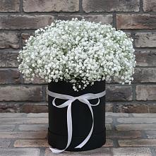 Цветочная композиция из Гипсофила в шляпной коробке в Поддорье