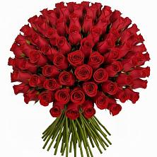 Букет Красные розы Чери Лав в Поддорье