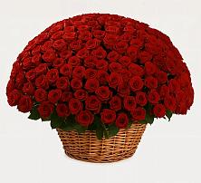 Премиум букет из: Розы в Поддорье